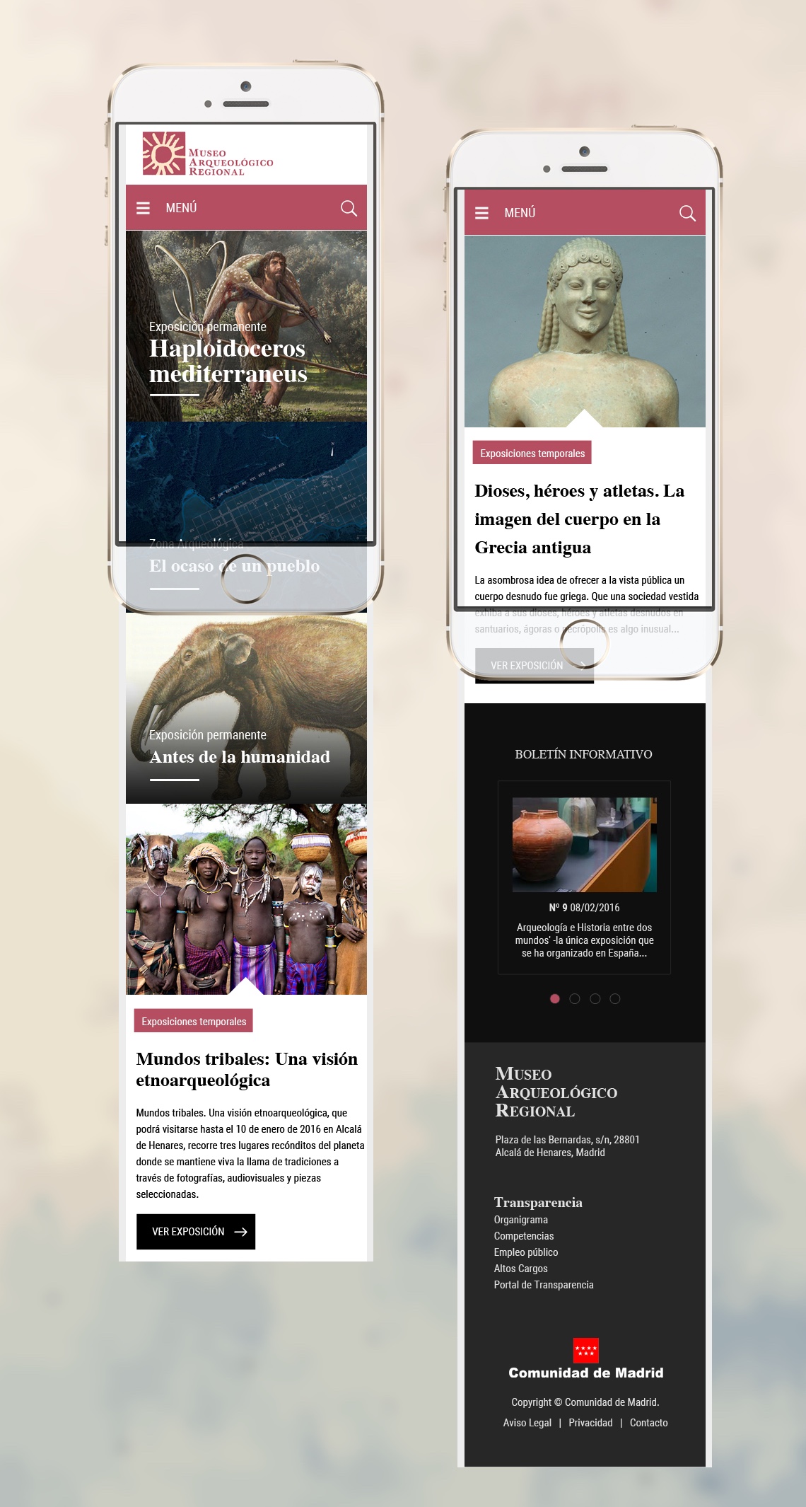 Propuesta de web responsive ofrecida al Museo de Arqueología Regional (MAR). 