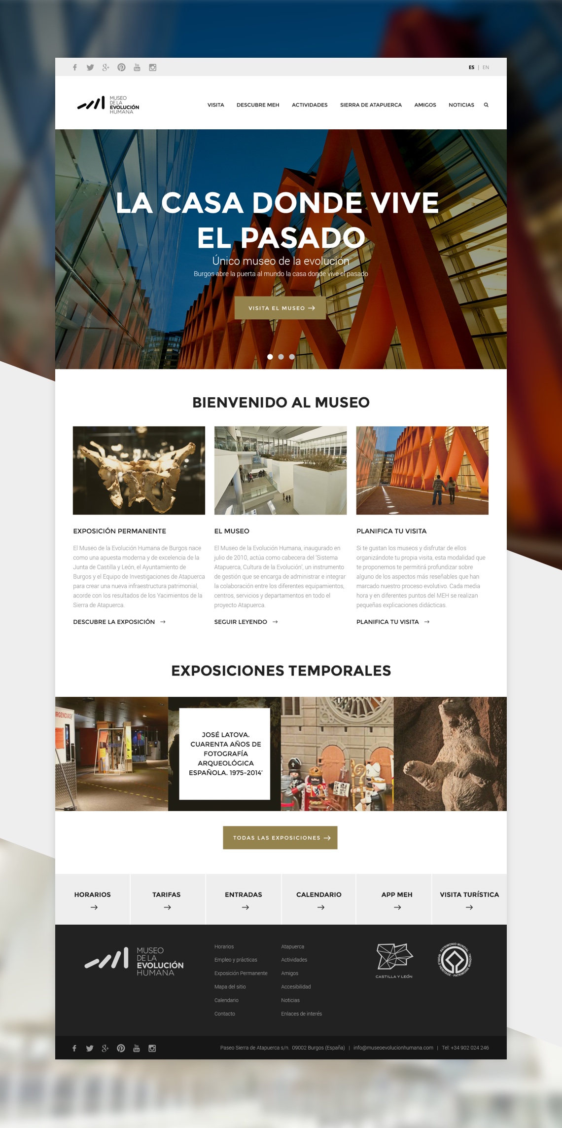 Propuesta de web responsive ofrecida al Museo de Arqueología Regional (MAR). 