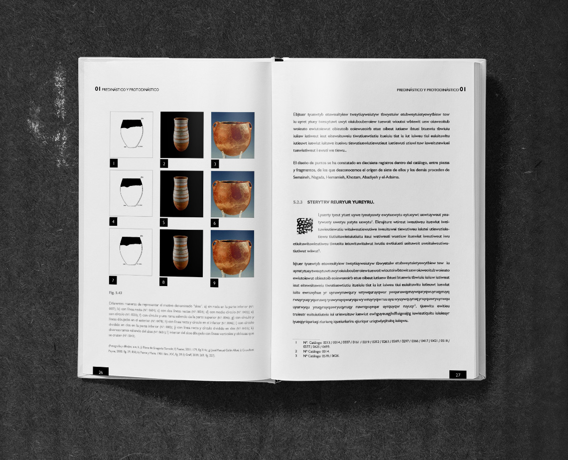 Diseño y maquetación de tesis.